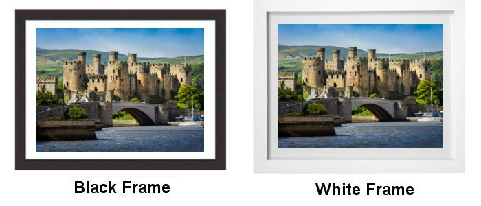 Select Your Frame